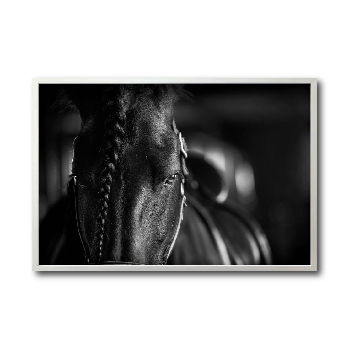 Cuadro Decorativo Caballos 009