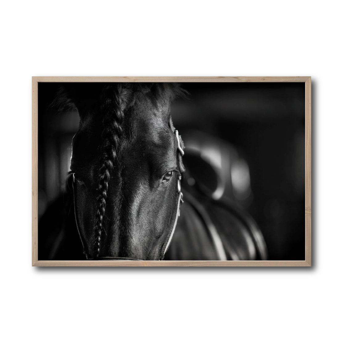 Cuadro Decorativo Caballos 009