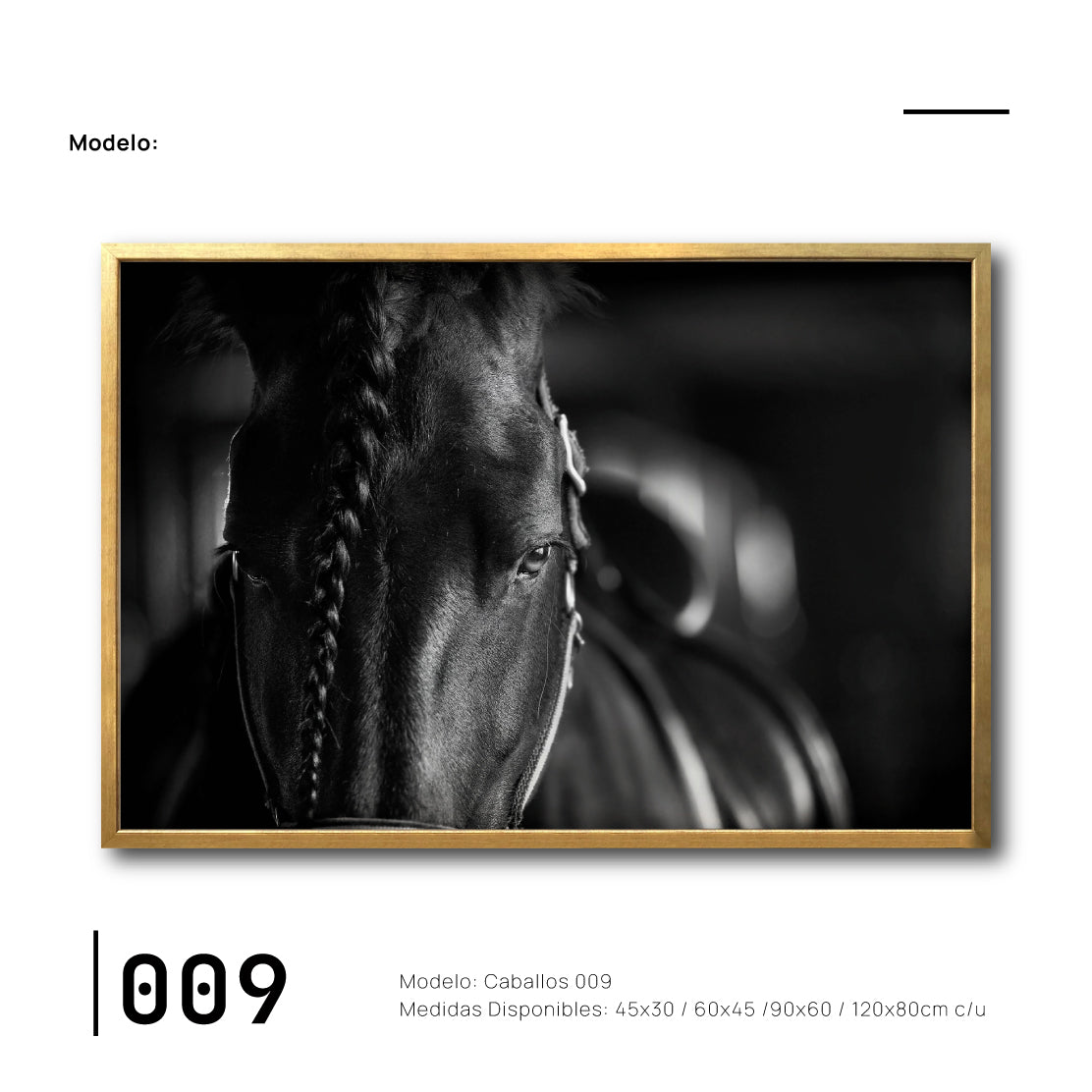 Cuadros Baratos Ambientación de Caballos. Ciudad de México. Galería 314.