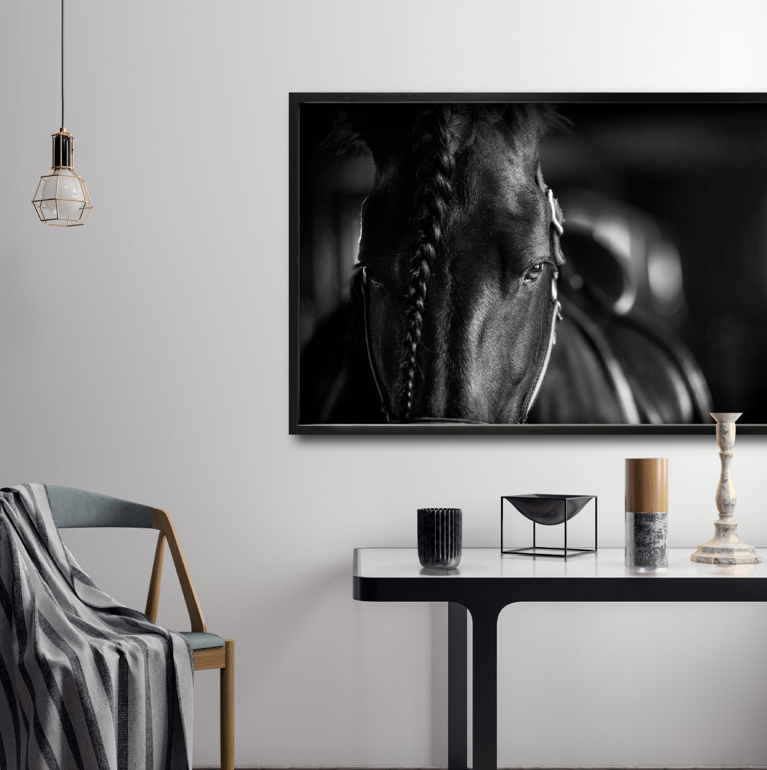 Cuadro Decorativo Caballos 009