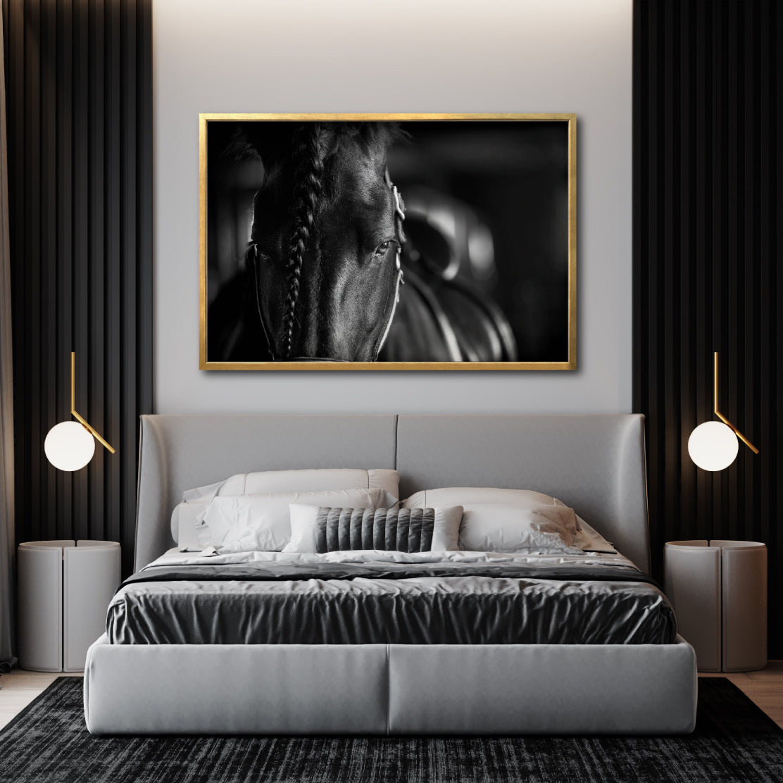 Cuadro Decorativo Caballos 009