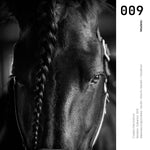 Cargar imagen en el visor de la galería, Cuadro Decorativo Caballos 009
