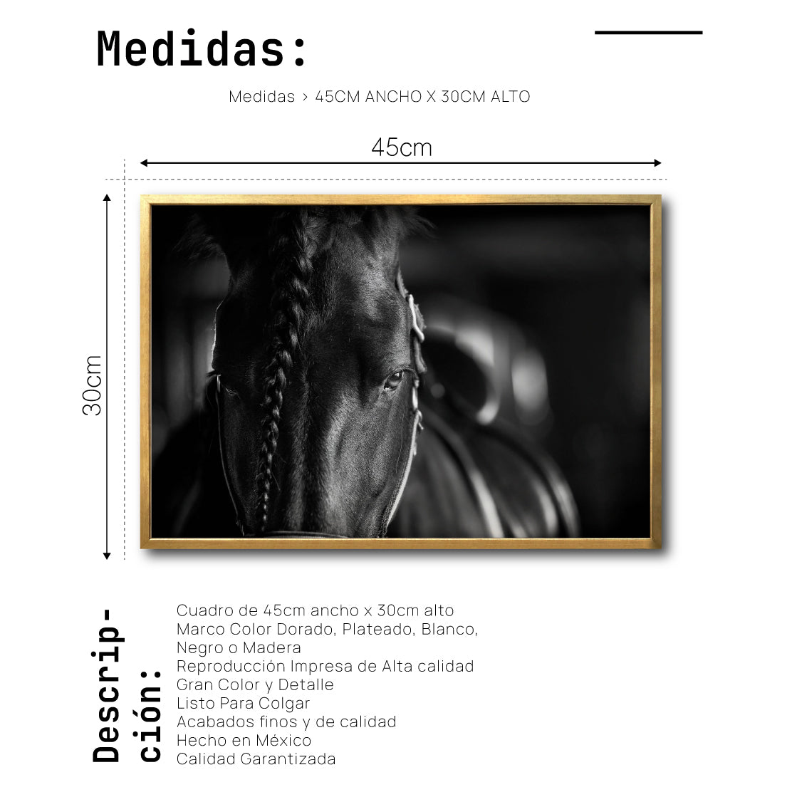 Cuadro Decorativo Caballos 009