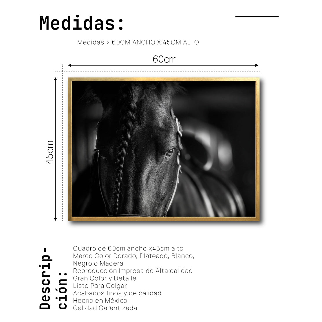 Cuadro Decorativo Caballos 009