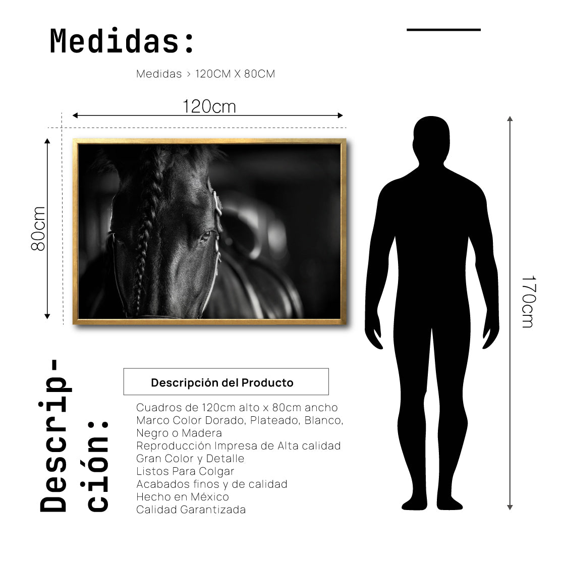 Cuadro Decorativo Caballos 009