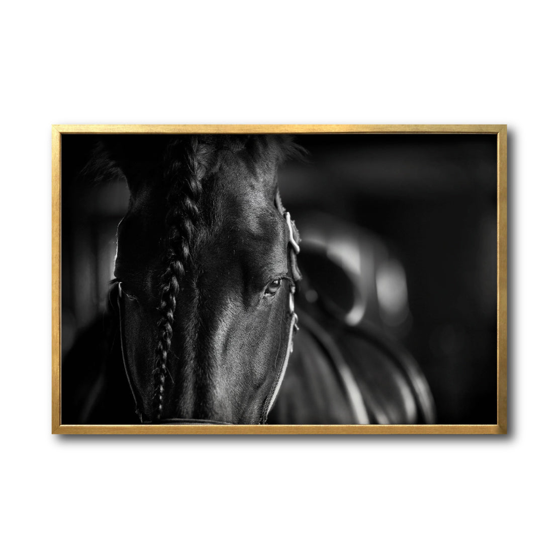 Cuadro Decorativo Caballos 009