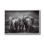 Cargar imagen en el visor de la galería, Cuadro Decorativo Fauna 009 - Familia Elefantes Blanco y Negro
