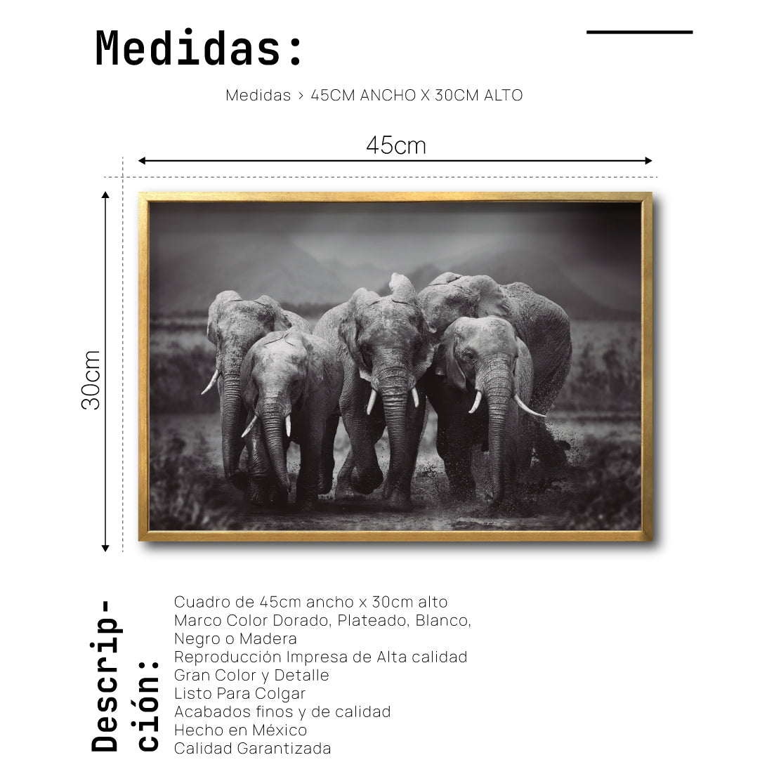 Cuadro Decorativo Fauna 009 - Familia Elefantes Blanco y Negro