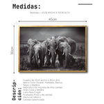 Cargar imagen en el visor de la galería, Cuadro Decorativo Fauna 009 - Familia Elefantes Blanco y Negro
