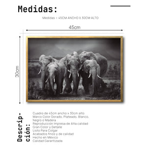 Cuadro Decorativo Fauna 009 - Familia Elefantes Blanco y Negro