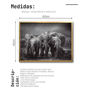 Cuadro Decorativo Fauna 009 - Familia Elefantes Blanco y Negro