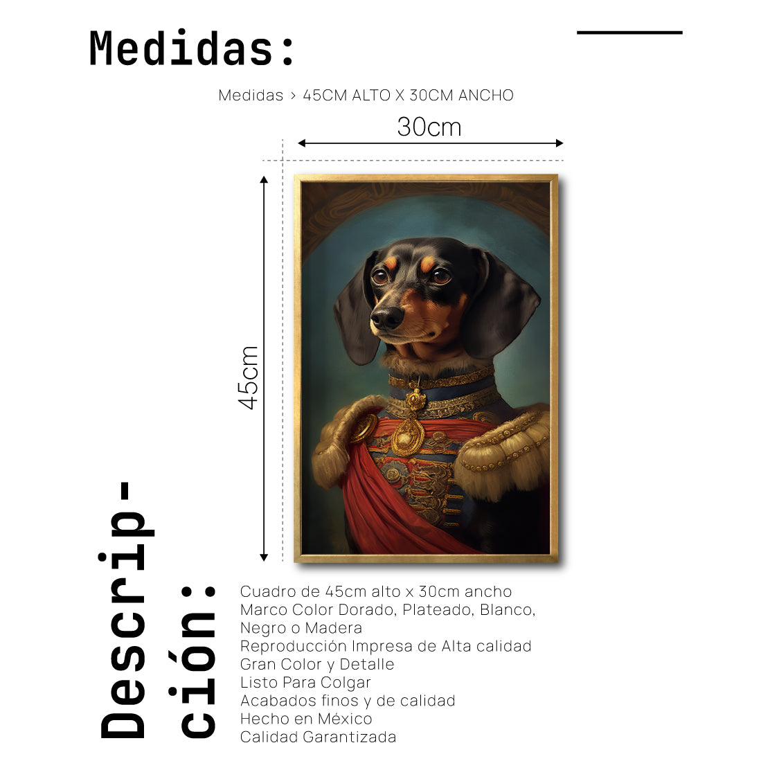 Cuadro Decorativo Perros Epoca 009 - Salchicha Aristocrata