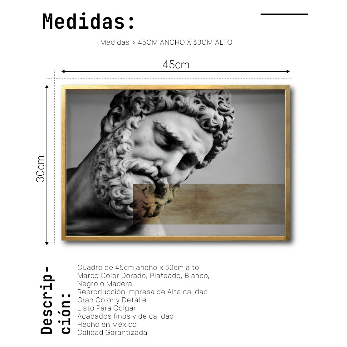 Cuadro Decorativo Escultura 010 Hércules para Recámara