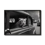 Cargar imagen en el visor de la galería, Cuadro Decorativo Animals Car Window 010
