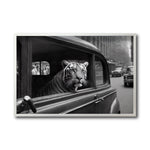 Cargar imagen en el visor de la galería, Cuadro Decorativo Animals Car Window 010
