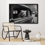 Cargar imagen en el visor de la galería, Venta de cuadros decorativos Canvas Animals Car window para tu comedor.  Animales Clásicos, moderno, Blanco y Negro. Tigre
