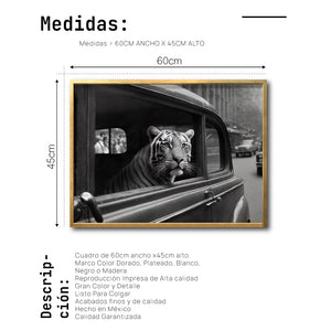 Cuadro Decorativo Animals Car Window 010