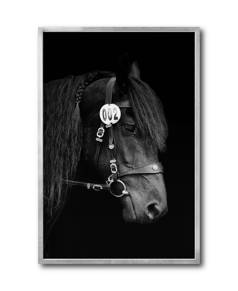 Cuadro Decorativo Caballos 010