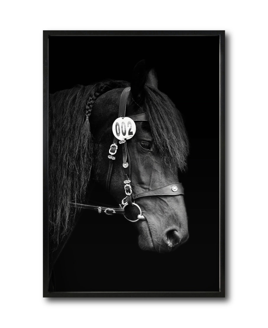 Cuadro Decorativo Caballos 010