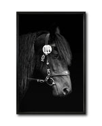 Cargar imagen en el visor de la galería, Cuadro Decorativo Caballos 010
