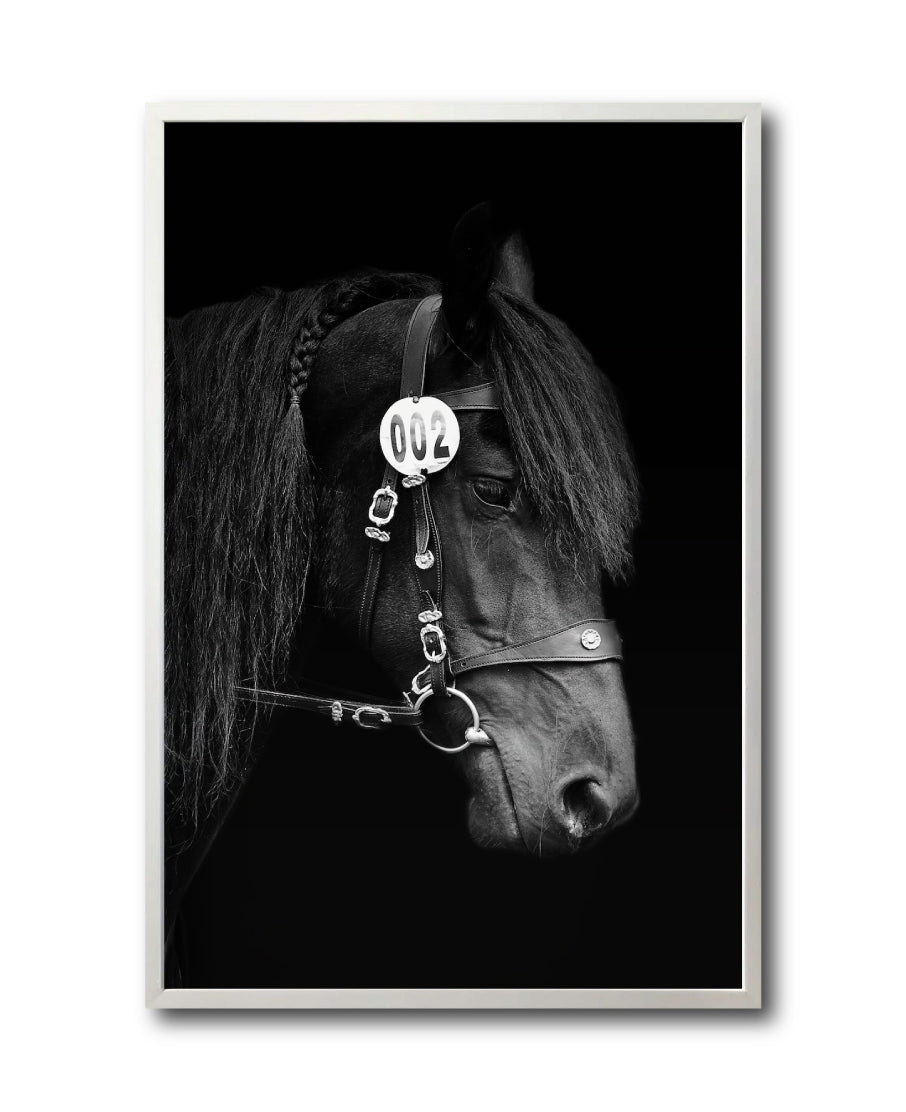 Cuadro Decorativo Caballos 010