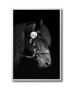 Cuadro Decorativo Caballos 010