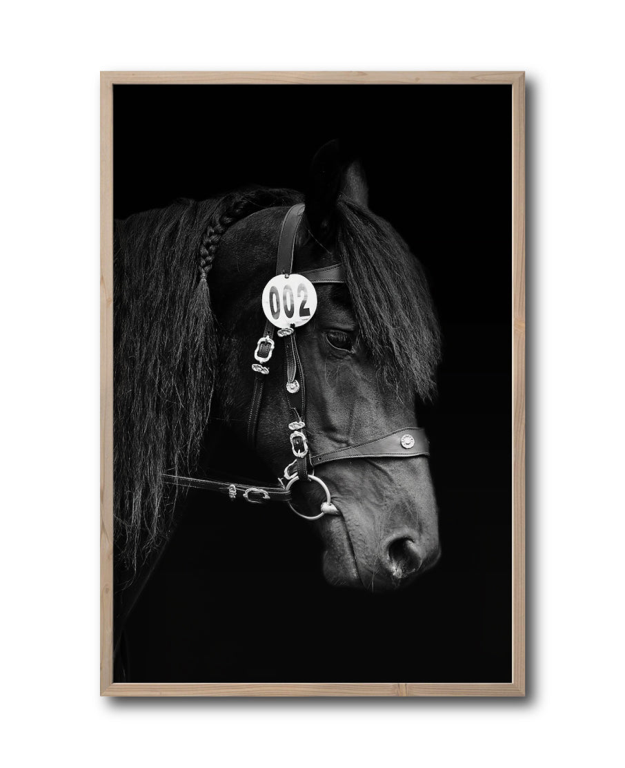 Cuadro Decorativo Caballos 010