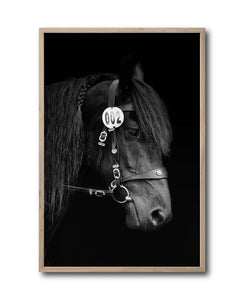 Cuadro Decorativo Caballos 010
