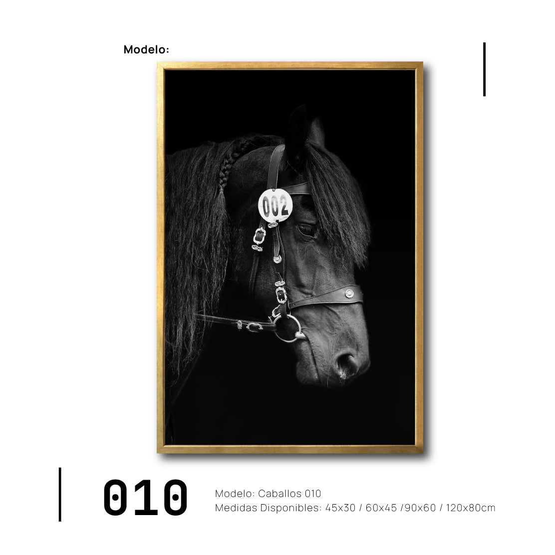 Compra cuadros de Caballos para tu recámara en México. Galería 314.