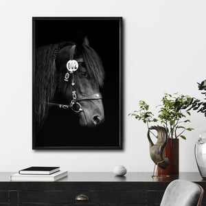 Cuadro Decorativo Caballos 010