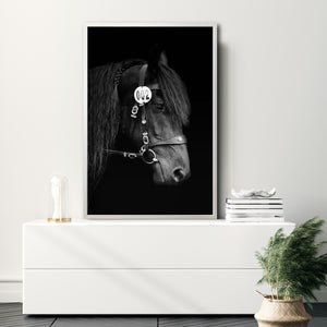 Cuadro Decorativo Caballos 010