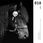 Cargar imagen en el visor de la galería, Cuadro Decorativo Caballos 010
