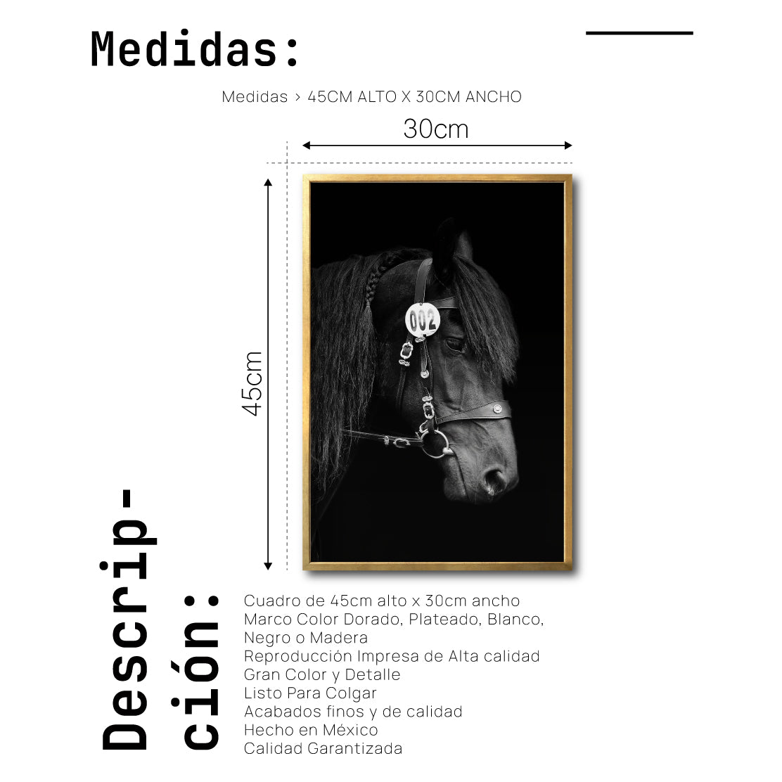 Cuadro Decorativo Caballos 010