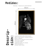 Cargar imagen en el visor de la galería, Cuadro Decorativo Caballos 010
