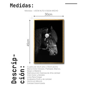 Cuadro Decorativo Caballos 010