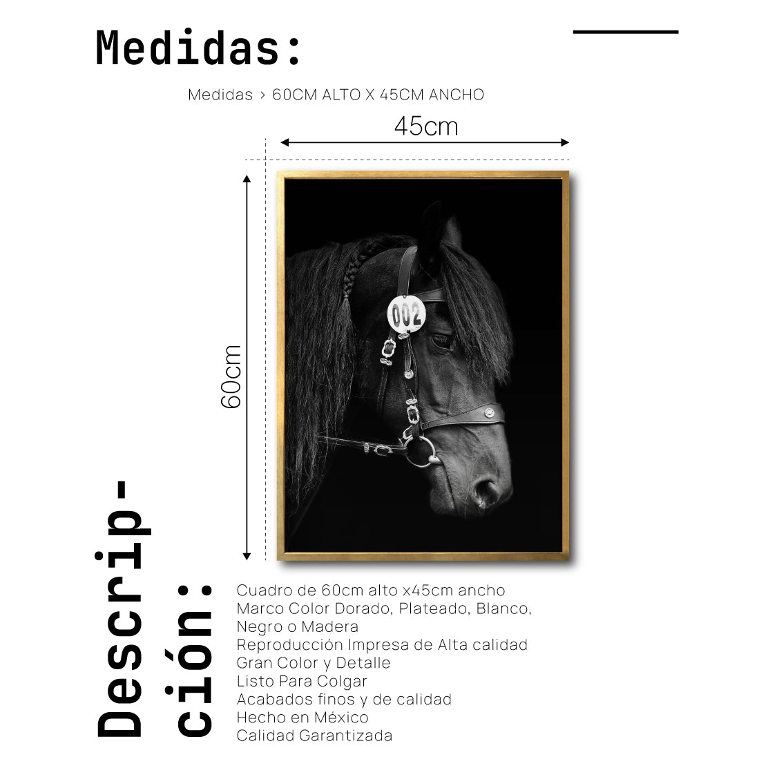 Cuadro Decorativo Caballos 010