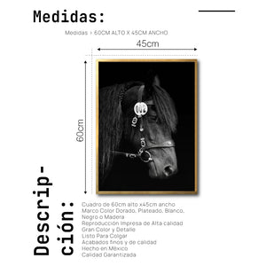 Cuadro Decorativo Caballos 010