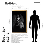 Cargar imagen en el visor de la galería, Cuadro Decorativo Caballos 010

