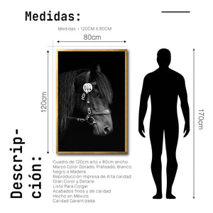 Cuadro Decorativo Caballos 010