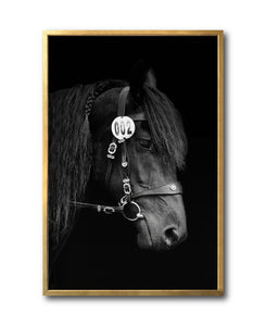 Cuadro Decorativo Caballos 010