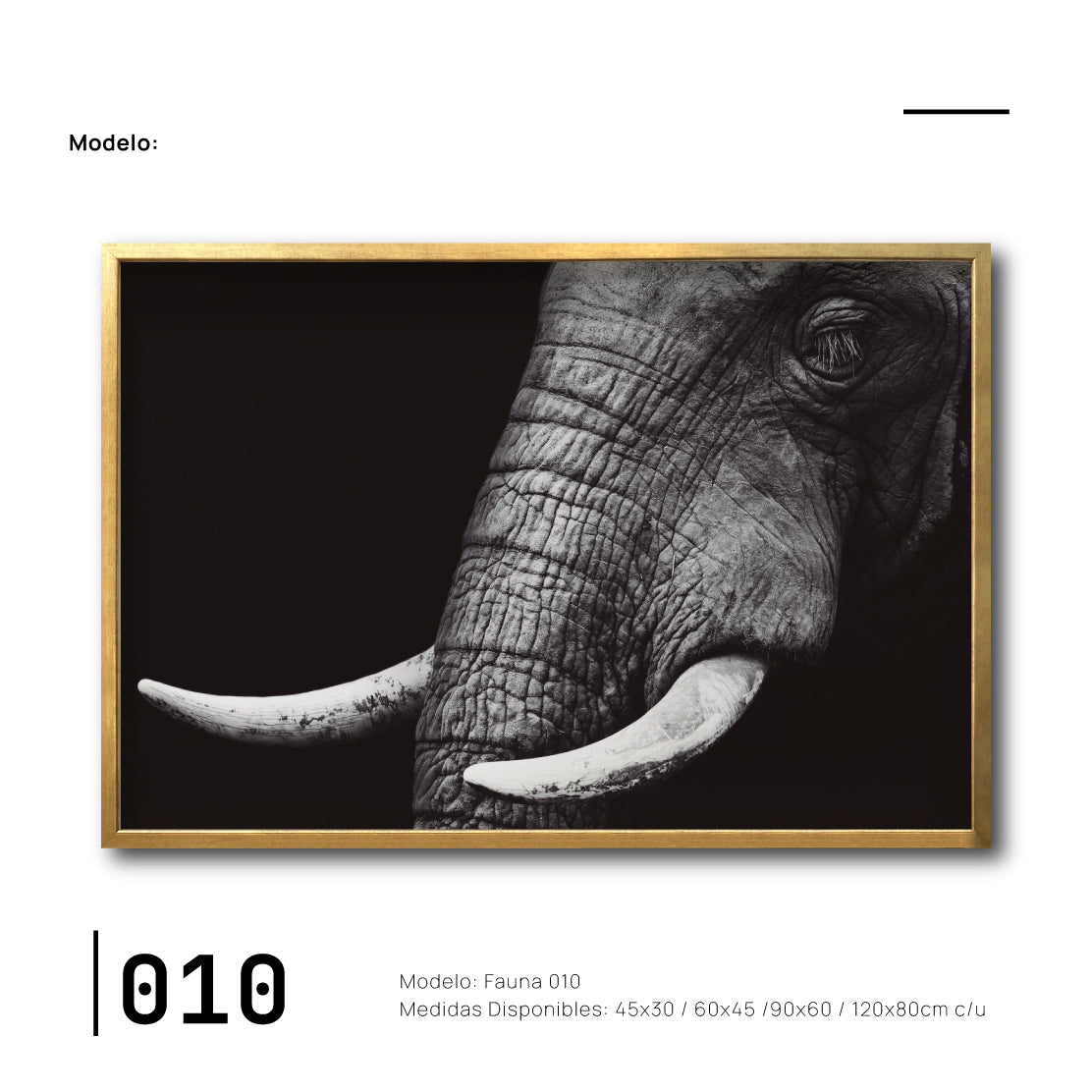 Cuadro Decorativo Fauna 010 - Elefante Blanco y Negro