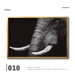 Cargar imagen en el visor de la galería, Cuadro Decorativo Fauna 010 - Elefante Blanco y Negro
