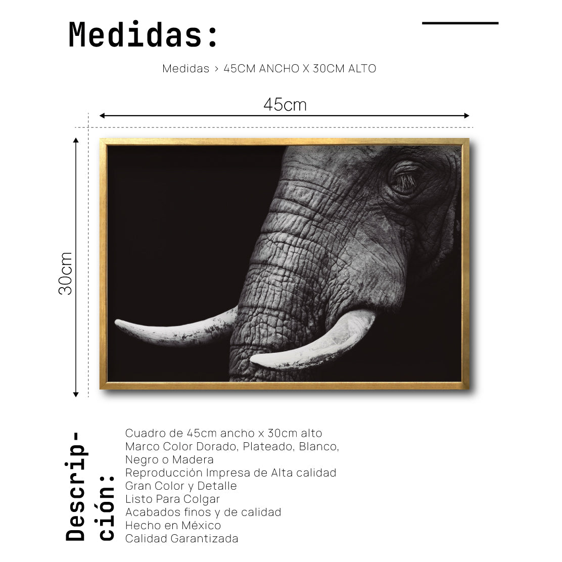 Cuadro Decorativo Fauna 010 - Elefante Blanco y Negro