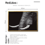 Cargar imagen en el visor de la galería, Cuadro Decorativo Fauna 010 - Elefante Blanco y Negro
