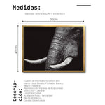 Cargar imagen en el visor de la galería, Cuadro Decorativo Fauna 010 - Elefante Blanco y Negro
