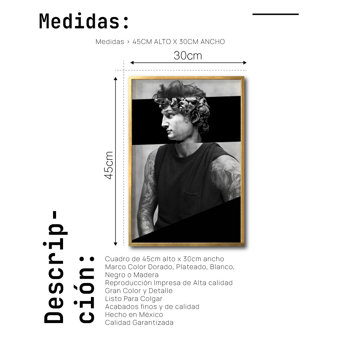 Cuadro Decorativo Rostros 010 David Beckham - El David