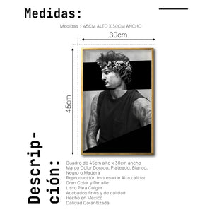 Cuadro Decorativo Rostros 010 David Beckham - El David
