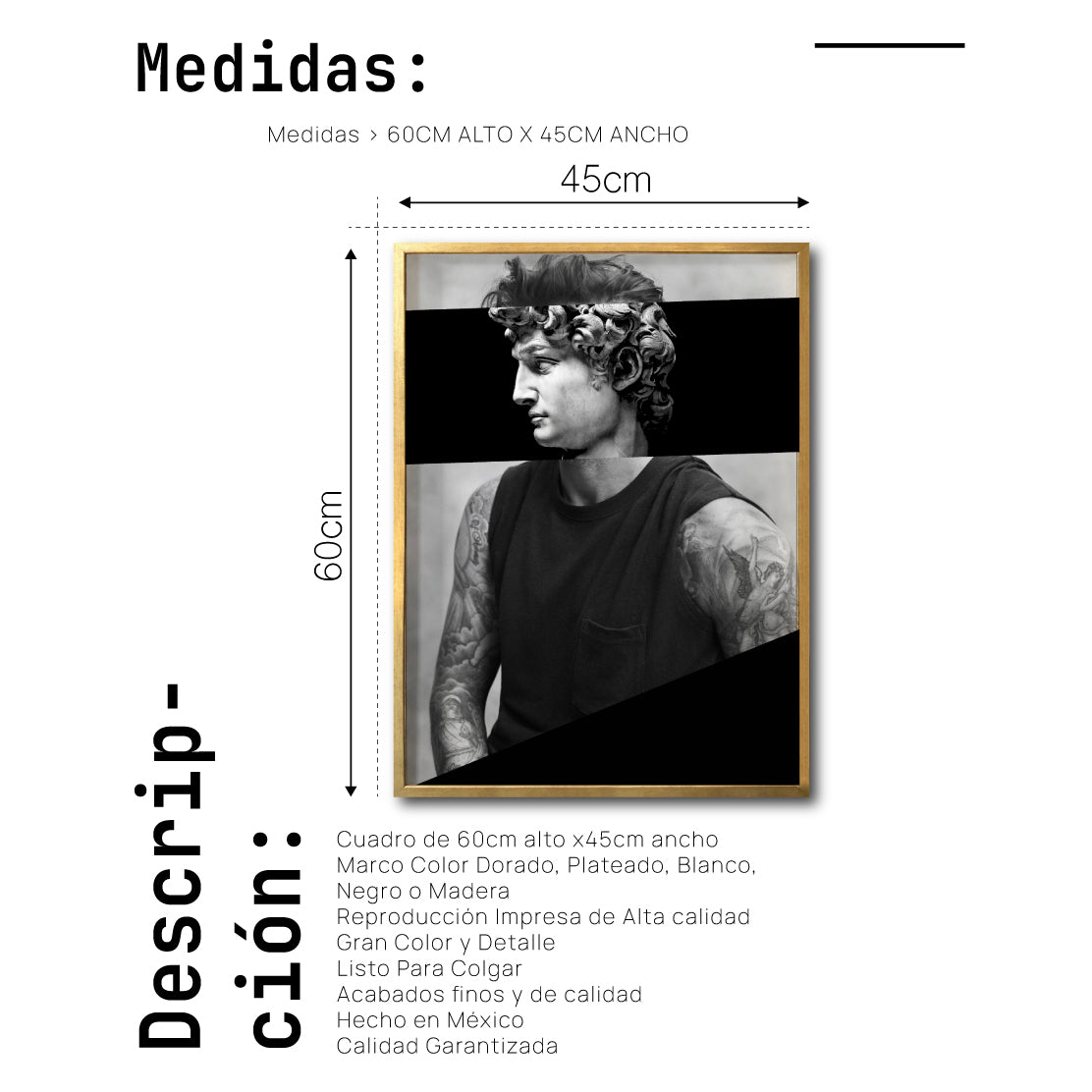 Cuadro Decorativo Rostros 010 David Beckham - El David