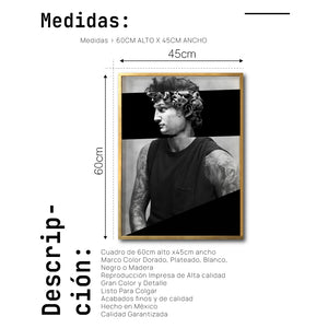 Cuadro Decorativo Rostros 010 David Beckham - El David