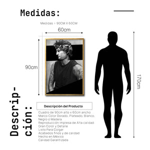 Cuadro Decorativo Rostros 010 David Beckham - El David